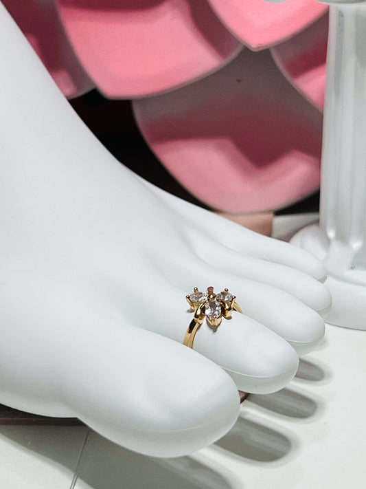 foot ring-anillo para pie
